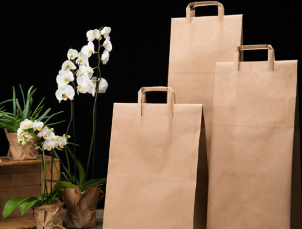 Kraft Paper Carrier and E-Commerce Bags